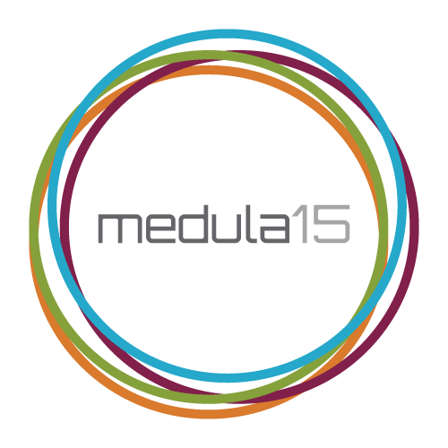 Medula LAB | Logo Anniversario 15