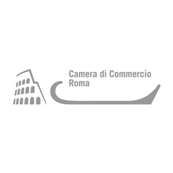 camera di commercio di roma